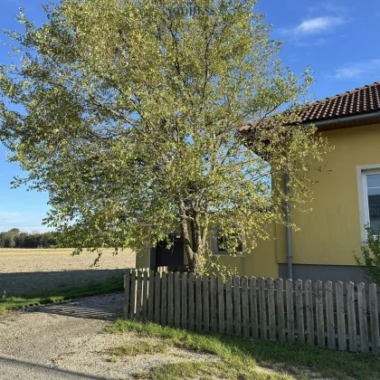 Exklusives Einfamilienhaus mit Weitblick und Garten in ruhiger Lage in Oberhausen - Bild 3