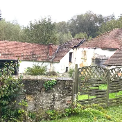 Charmantes Bauernhaus in Eggenburg - Perfekt für Naturliebhaber - Bild 3