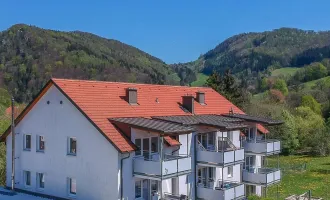 Ein Traum für Familien - 4 Zimmer Gartenwohnung in Loich