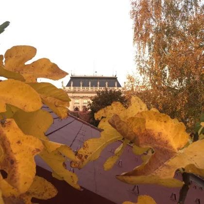 Exklusive Altbauresidenz mit Charme in toller Lage neben der KF-Universität - Bild 2