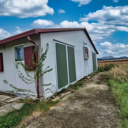 Landwirtschaftliche Nutzfläche mit Halle - Bild 3