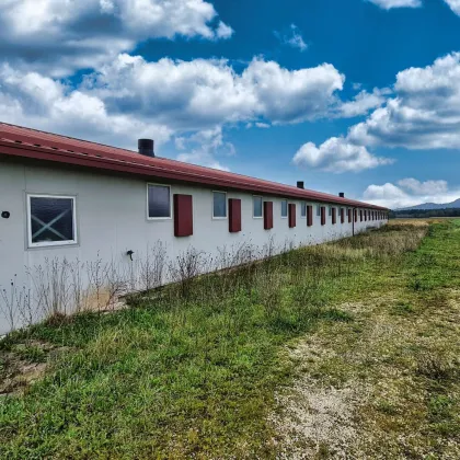 Landwirtschaftliche Nutzfläche mit Halle - Bild 2