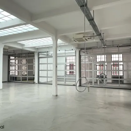 seltene Gelegenheit - lichdurchflutete, bezugsfähige Loftfläche für Kreative - rd. 328 m2 Büro/Atelier im Industrial-Loft mit Lift, wärmegedämmtes Dach, neue Lichtkuppeln, neue Loftfenster - Bild 3