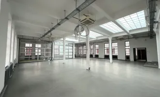 seltene Gelegenheit - lichdurchflutete, bezugsfähige Loftfläche für Kreative - rd. 328 m2 Büro/Atelier im Industrial-Loft mit Lift, wärmegedämmtes Dach, neue Lichtkuppeln, neue Loftfenster