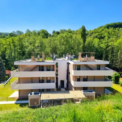 Lebens(t)raumerfüller im Wienerwald! TOP Neubauwohnung mit viel Freiraum! Traumhafte Rundum-Terrasse + Ideale Raumaufteilung + Grün wohin das Auge reicht + Luftwärmepumpe! - Bild 3