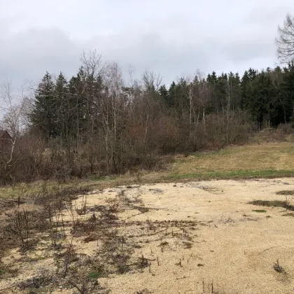 Bauträger Grundstück 32000 m² großer aufgeschlossener Baugrund mit touristischer Widmung, Bauklasse II - Bild 3