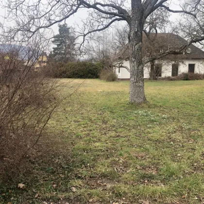 RUHELAGE + Sonnige Doppelhäuser in Graz-Wetzelsdorf mit attraktiven Freiflächen - Doppelhaushälften, sowie Wohnungen! PROVISIONSFREI! - Bild 3