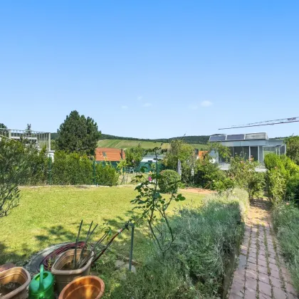 Traumhaftes Grundstück mit idyllischem Blick über Wiens Weinberge - Bild 3