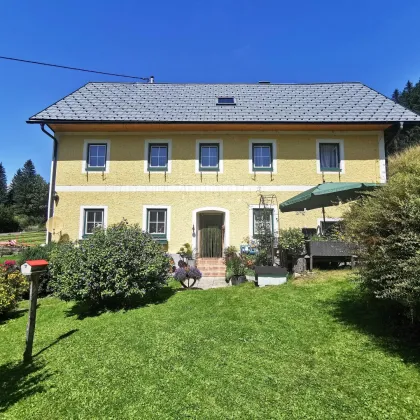 Bauernhof - 27.500m² Hofstelle mit umliegenden Wiesenflächen und Wald - Bild 2