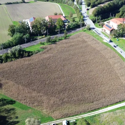 Betriebsbaugrundstück (B) I 24.000 m²​​​​​​​ I ideale Verkehrsanbindung I Baubewilligung bereits vorhanden! - Bild 2