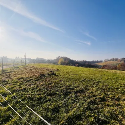 ZUM KAUF: Grundstück in der malerischen Südsteiermark - Bild 2