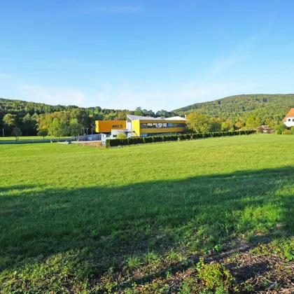 Traumhaft ebenes Grundstück in Südausrichtung - Bild 2