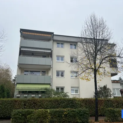 3 Zimmerwohnung in Top Lage von Waidmannsdorf - Bild 2