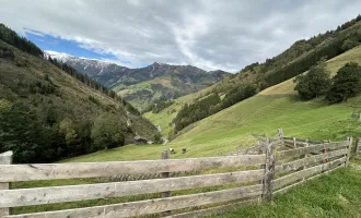 Land- und Forstwirtschaft (ca. 11,9 ha) mit gesamter Hofstätte in ruhiger Lage von Rauris zu verkaufen