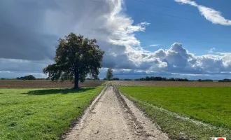 K3 - Nähe Bad Füssing - alter 4 - Seitenhof mit ca. 15 ha bestem ertragreichen Ackerboden!!! PANORAMALAGE