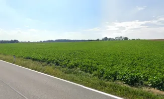 Bezirk Steyr-Land / Gewerbegrundstück in frequenter Lage zu kaufen