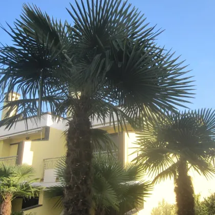 WUNDERSCHÖNES FERIENHAUS AM HAFEN - DACHTERRASSE - GROSSER POOL - Bild 3