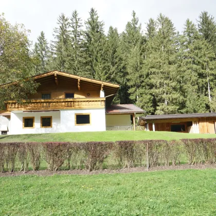 Natur pur - Haus im Drautal - Bild 3