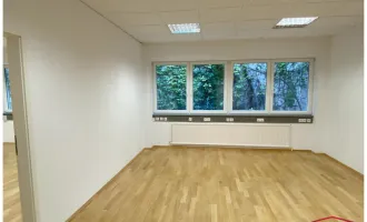 UNBEFRISTET -  Büro/ Studio beim Belvedere in Hofruhelage