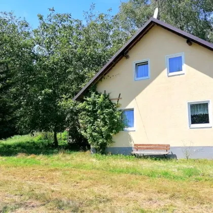 Mietkauf! Renovierungsbedürftiges Haus am Waldrand mit viel Grund für Bastler - Bild 2