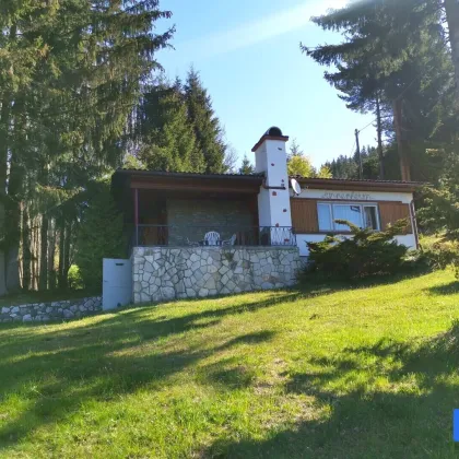 ****RESERVIERT**** Rustikales Wohn-/Ferienhaus auf der Koralpe im Lavanttal! - Bild 2