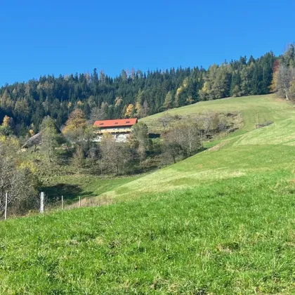 60 ha Land- & Forstwirtschaft mit Haus u. Hof in Panoramalage - Bild 2