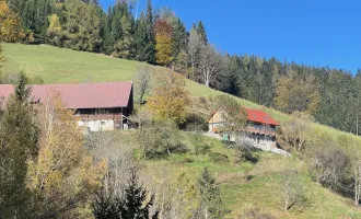 60 ha Land- & Forstwirtschaft mit Haus u. Hof in Panoramalage