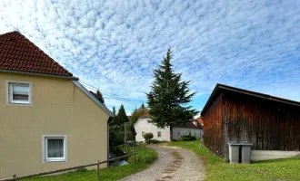 3 ZIMMER ERDGESCHOSSWOHNUNG MIT TERRASSE IN GREIN AN DER DONAU