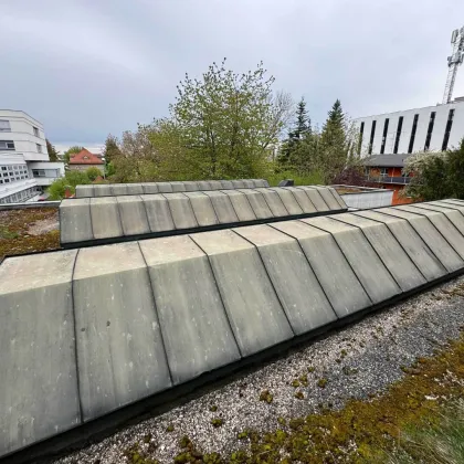 Bestandfreies Stadthaus mit Entwicklungspotential im Zentrum von Wels zu verkaufen - Bild 3