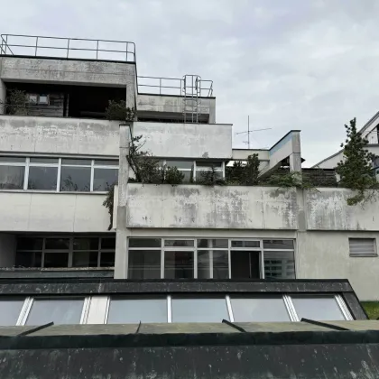 Bestandfreies Stadthaus mit Entwicklungspotential im Zentrum von Wels zu verkaufen - Bild 2