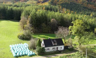 Romantisches Cottage in Alleinlage auf 5.555 m² Grund mit großzügigem Holzbezugsrecht