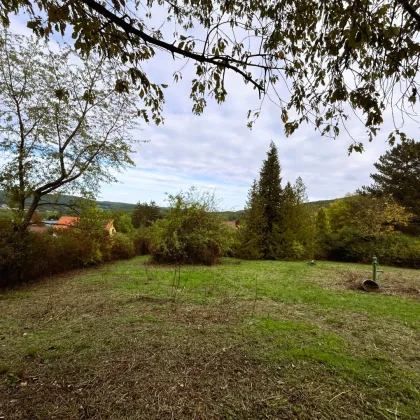 BREITENFURT: TOP BAUGRUND MIT CA. 1.437 m² (2 Parz.) UND FERNBLICK - 6 KM ZUR WIENER STADTGRENZE - Bild 2