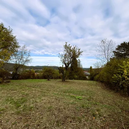 BREITENFURT: TOP BAUGRUND MIT CA. 1.437 m² (2 Parz.) UND FERNBLICK - 6 KM ZUR WIENER STADTGRENZE - Bild 3