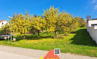 aufgeschlossenes Grundstück mit Fernblick in Müllendorf