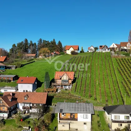 Seltene Gelegenheit: Haus in den Weinbergen - Bild 3