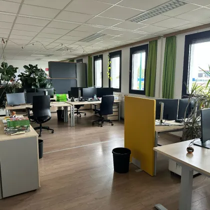 Vielseitige Gewerbehalle mit Bürofläche in Toplage in Wr. Neudorf - Bild 3