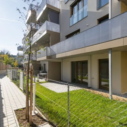 KOLL.home - Ihr neues Zuhause in Wiener Neustadt - Bild 3