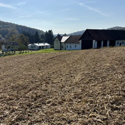 ** BEZAUBERNDES UNIKAT ** Neustift b. GS !! Charismatisches Bauernhaus mit ca. 1,45 Hektar Eigengrund in Grünruhelage !! - Bild 2