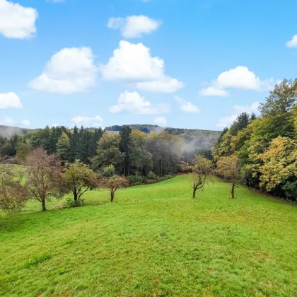 Sanierungshaus mit großem Grundstück und Wald. - Naturlage im Rosental. - Bild 2