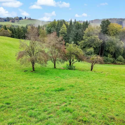 Sanierungshaus mit großem Grundstück und Wald. - Naturlage im Rosental. - Bild 3