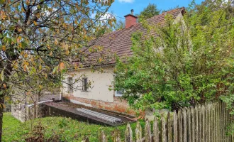 Sanierungshaus mit großem Grundstück und Wald. - Naturlage im Rosental.