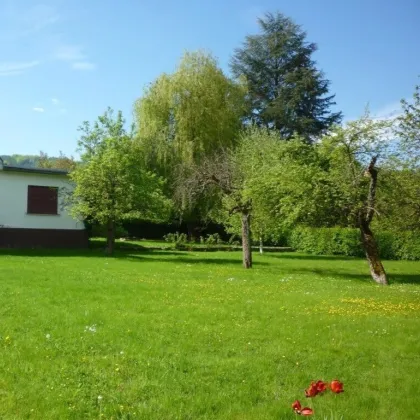 * Sanierungsbedürftiges Einfamilienhaus auf idyllischem Grundstück mit Blick zur Kirche nördlich von Graz in Gratwein-Strassengel! * - Bild 2