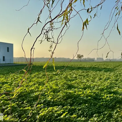 ABENDSONNE, PRIVATSTRASSE, IDEALE GRÖSSE UND BEBAUBARKEIT /// tolles Baugrundstück mit perfekter Infrastruktur - Bild 2