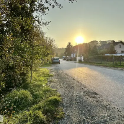 ABENDSONNE, PRIVATSTRASSE, IDEALE GRÖSSE UND BEBAUBARKEIT /// tolles Baugrundstück mit perfekter Infrastruktur nahe Schlosspark - Bild 2