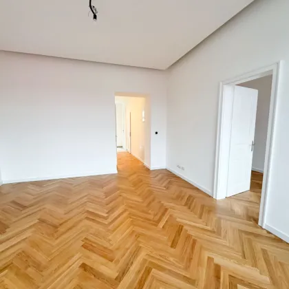 ERSTBEZUG nach Sanierung, 56,50 m2 große Zwei- Zimmer Eigentumswohnung im ALTBAU! - Bild 3