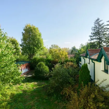 Wohnen und arbeiten in hervorragender Hietzinger Lage - Bild 3