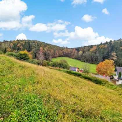 Baugenehmigtes Doppelhaus inkl. Grundstück. - Weniger als 10 Min. vor Graz. - Viele Highlights und große Terrassen. - Bild 3