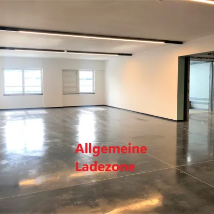 *PROVISIONSFREI* Loft/Atelier/Mehrzweckraum/Büro/Lager - Bild 3