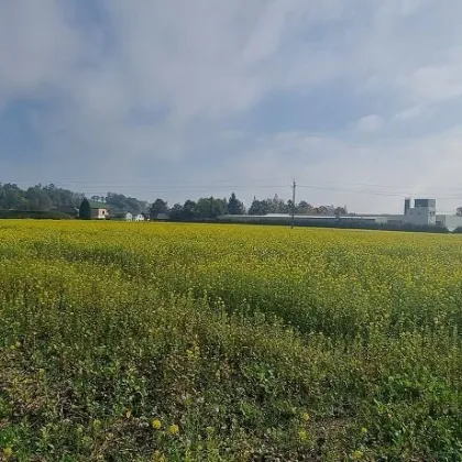 Betriebsbaugebiet/Grundstück in Top Lage zu verkaufen ! - Bild 3