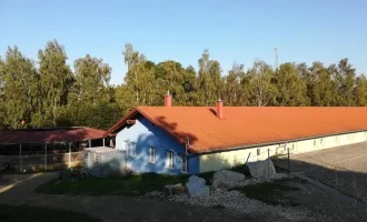 Pferdehof mit Entwicklungspotential in Eggendorf im Traunkreis!